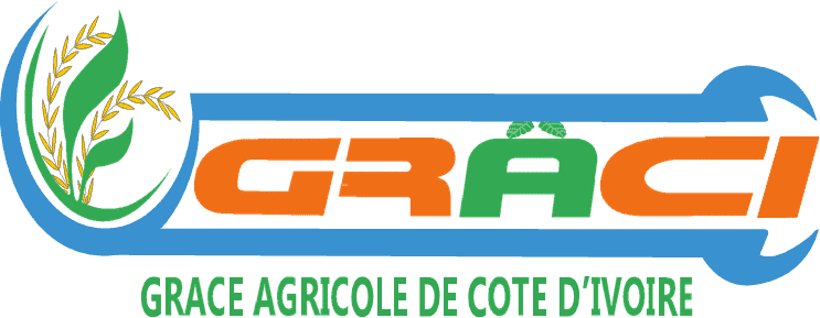 GRACI oeuvre pour l'amélioration de la production de riz en Côte d'Ivoire 1 Nouvelle image 11