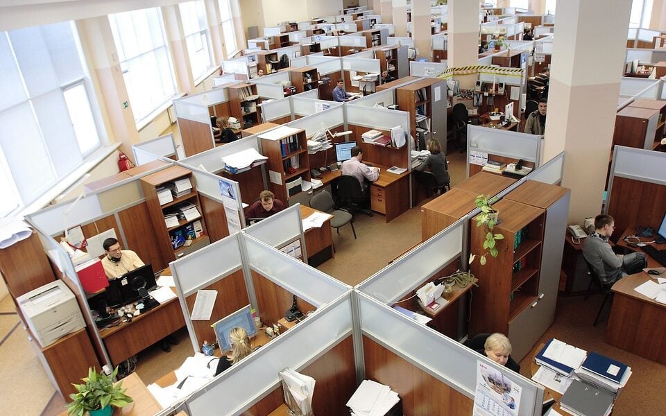 Employees