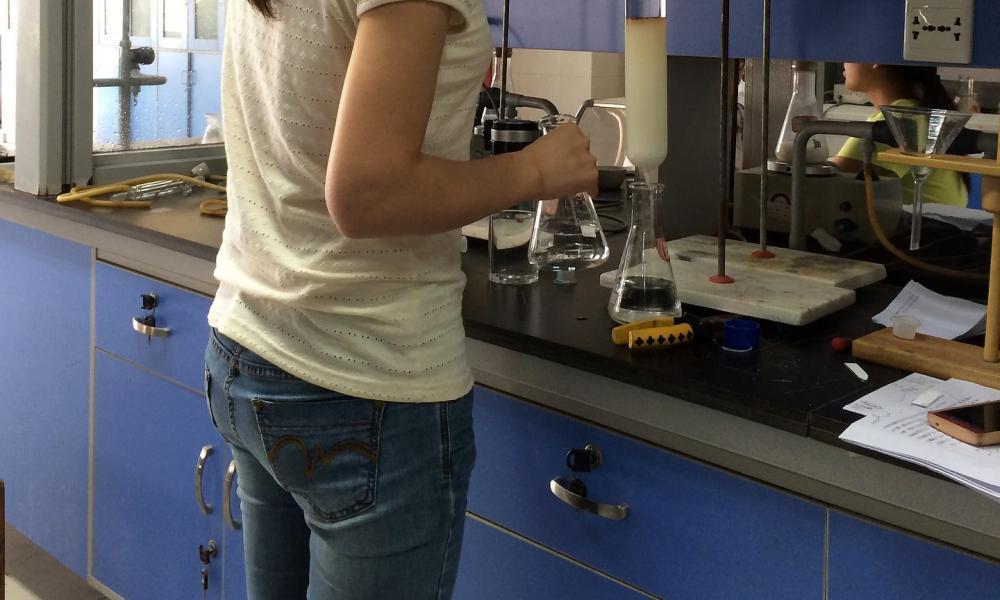 Laboratory Fume Hoods
