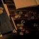 Tipos de coleccionistas de monedas