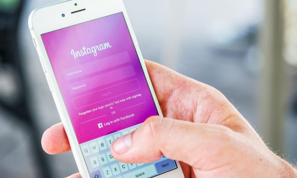 organic instagram growth