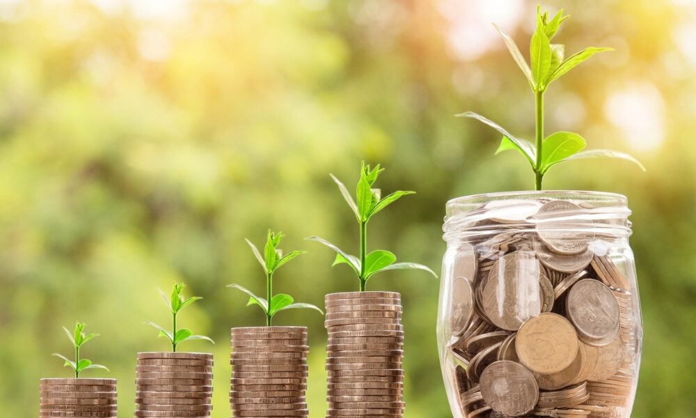 investissement groupement forestier