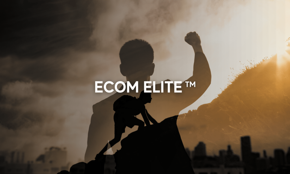 ecom elite formation e commerce afrique francophone