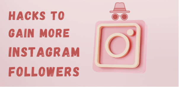instagram followers