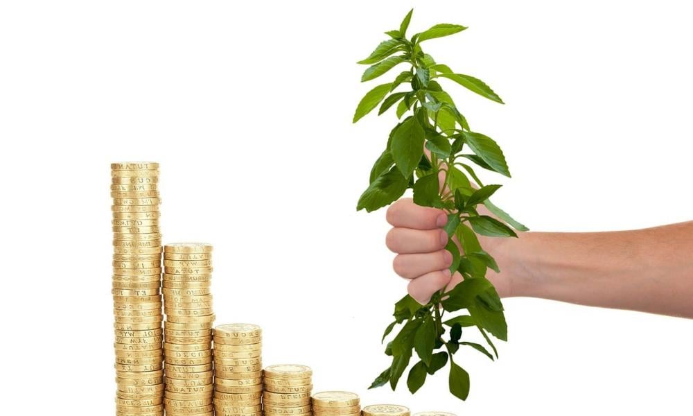 investissement
