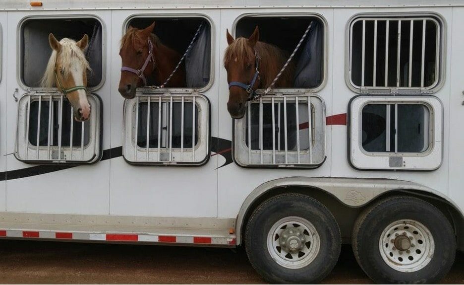 horse trailer business