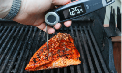 meat thermometer