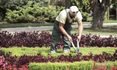 gardening business