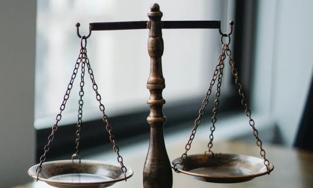 legal niche startup