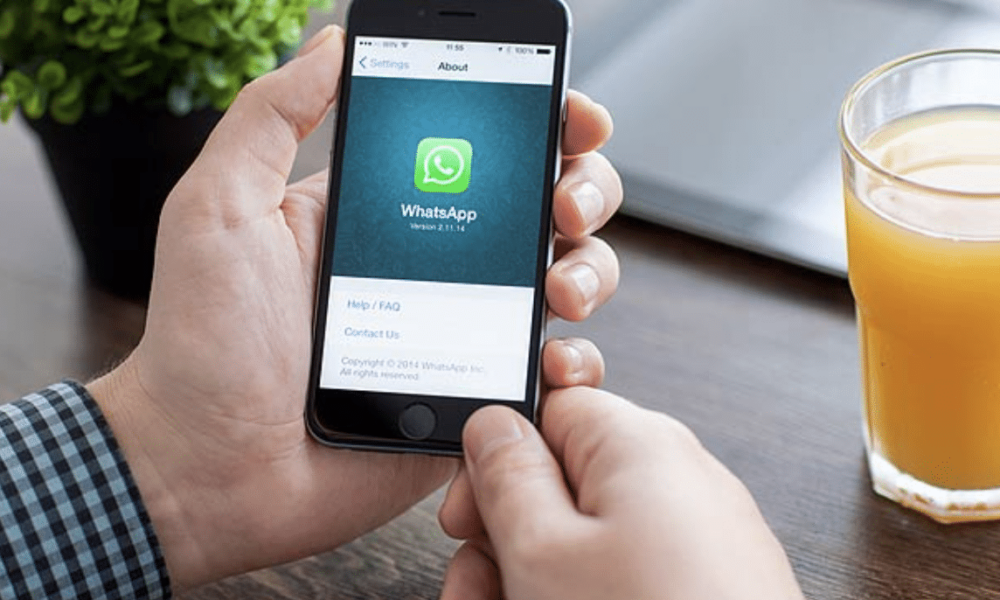whatsapp backup