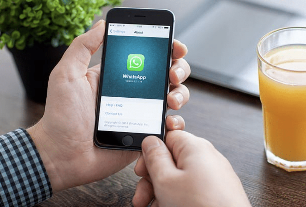 How to Restore WhatsApp Backup from Google Drive to iPhone?