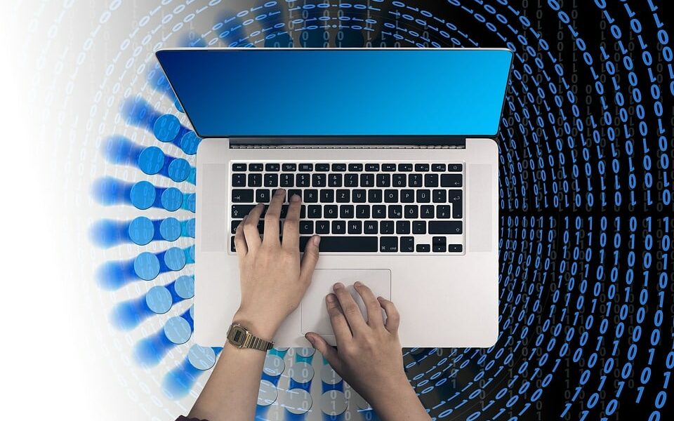 Web hosting