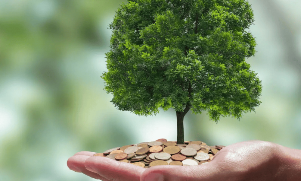 carbon offsetting