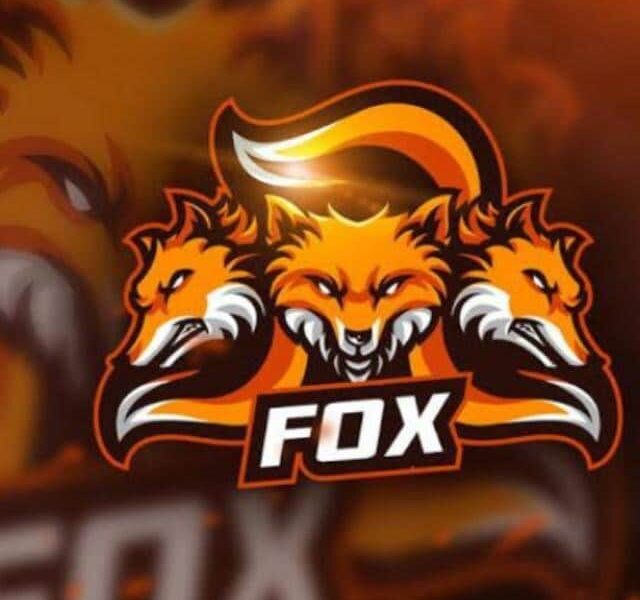 Fox Guest Posting
