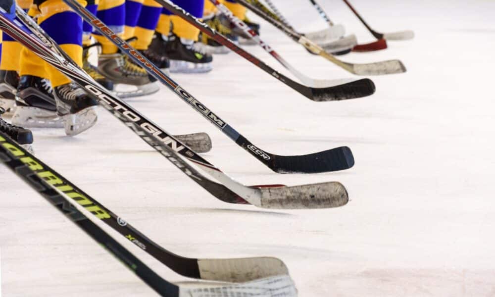 hockey team, hockey game, ice skating rink