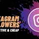 Buy Instagram followers