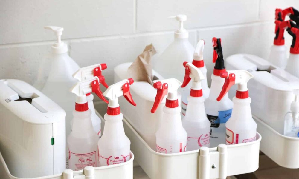 Professional Cleaning Service