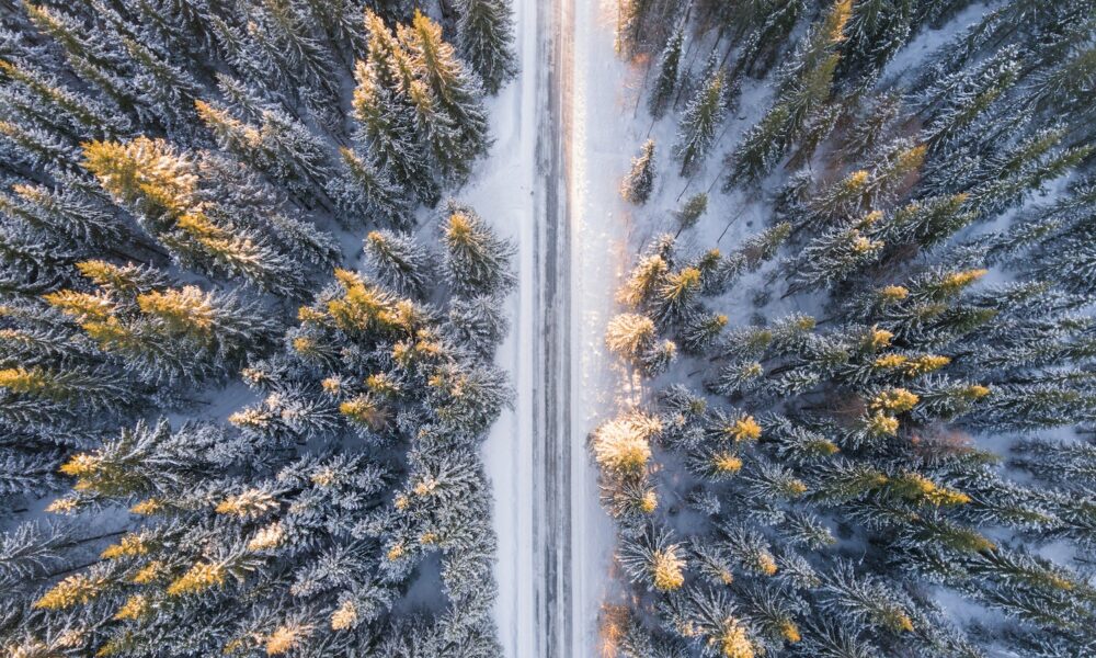 Aerial Photography of Road in Forest