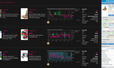 flipl ebay arbitrage panel