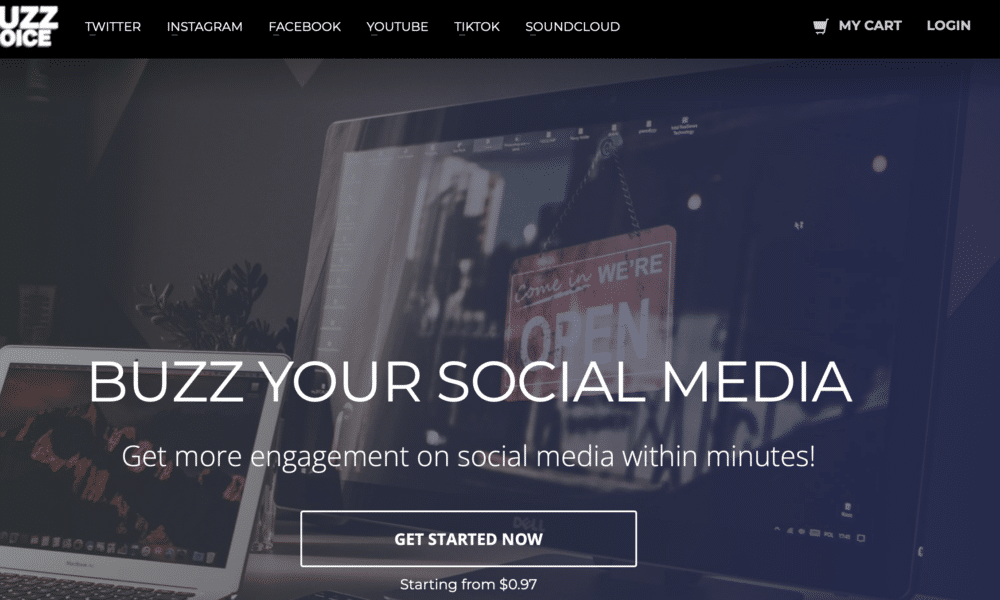 BuzzVoice Review