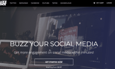 BuzzVoice Review