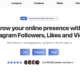 Likes.io Review
