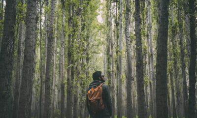Orange Backpack