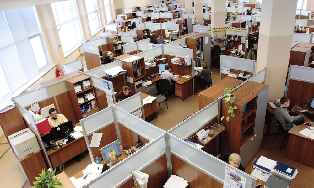 office, cubicles, employees
