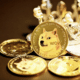 inu