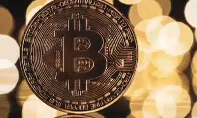 video image 2