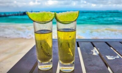 summer, tropical, tequila