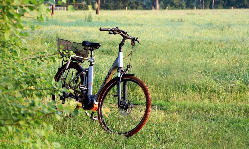 e-bike, bicycle, field