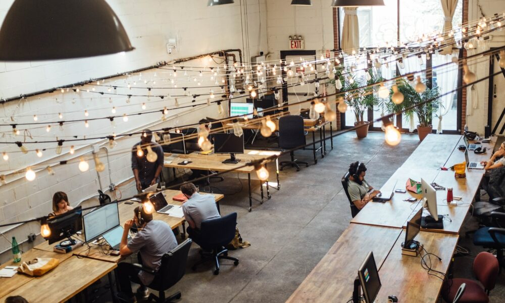 people sitting in front of computer monitors