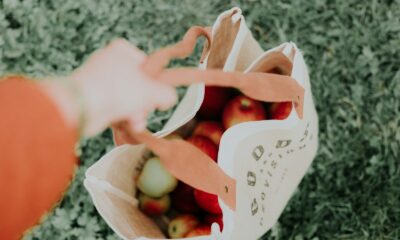 bag of apple