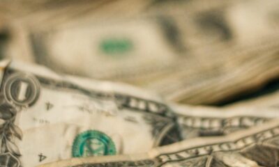 shallow focus photography of U.S. dollar banknotes