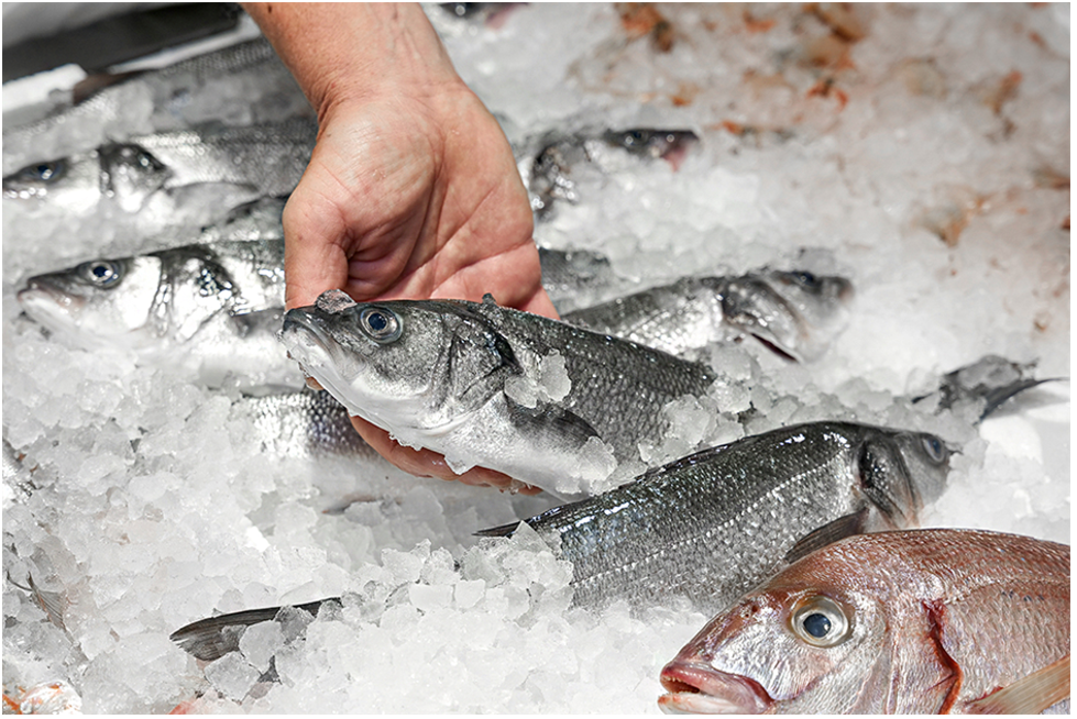 TOP 10 Best Fish Processing and Seafood Distribution Startups 28 Sans titre 4