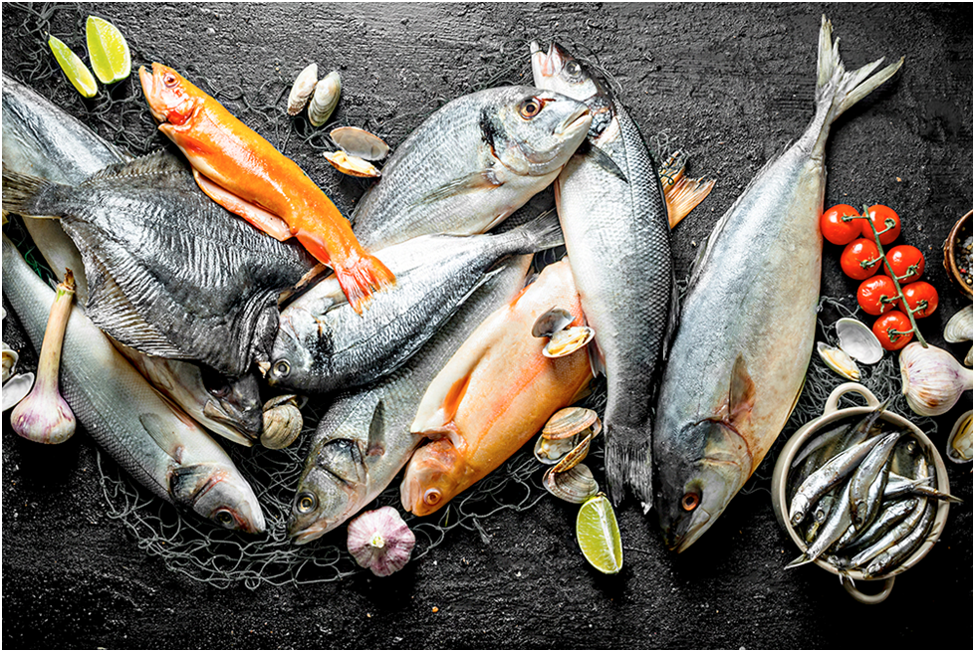 TOP 10 Best Fish Processing and Seafood Distribution Startups 27 fish