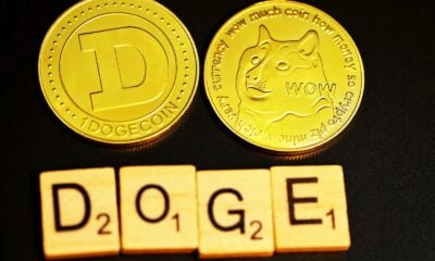 Doge Stimulus Check