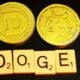 Doge Stimulus Check