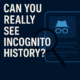 How to Check Incognito History