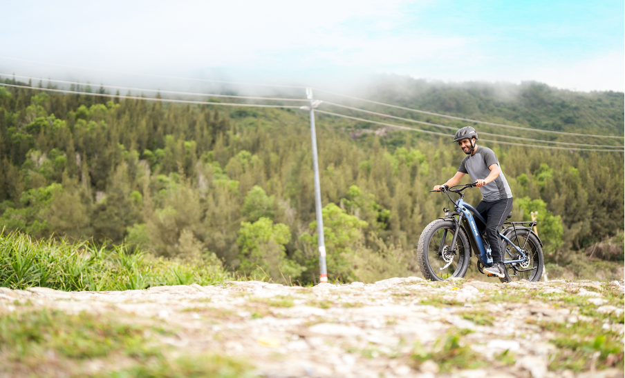 Qronge Thunder Fat Tire eBike