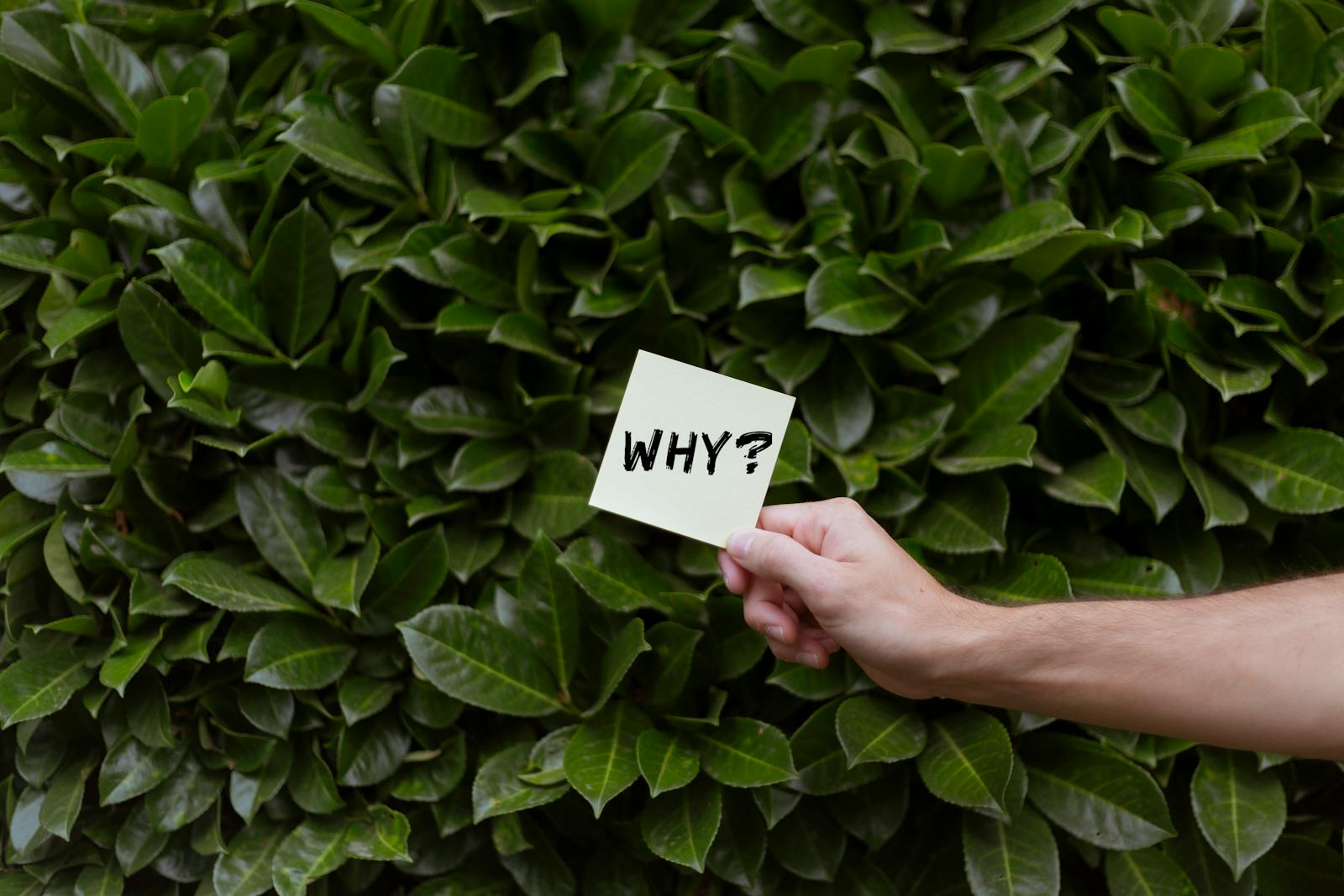 philosophical questions