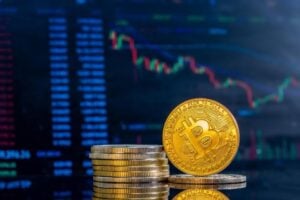 Top 10 Crypto Tax Platforms for 2025: Features, Pricing, and Ease of Use