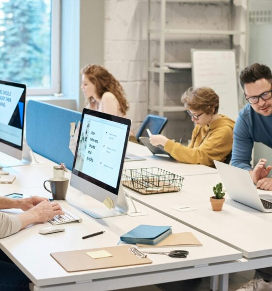 Startup Liability