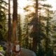 Hikers walk on a trail through a sunlit forest.