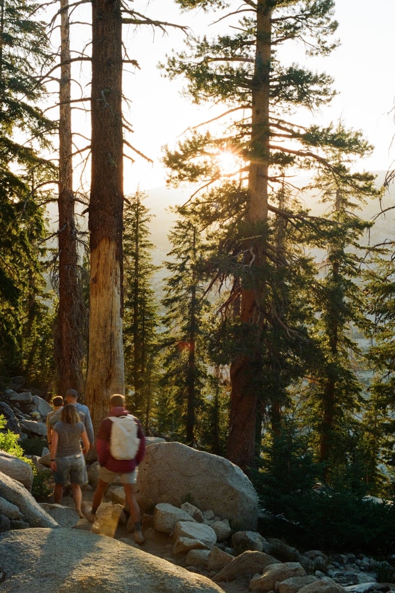 Hikers walk on a trail through a sunlit forest.