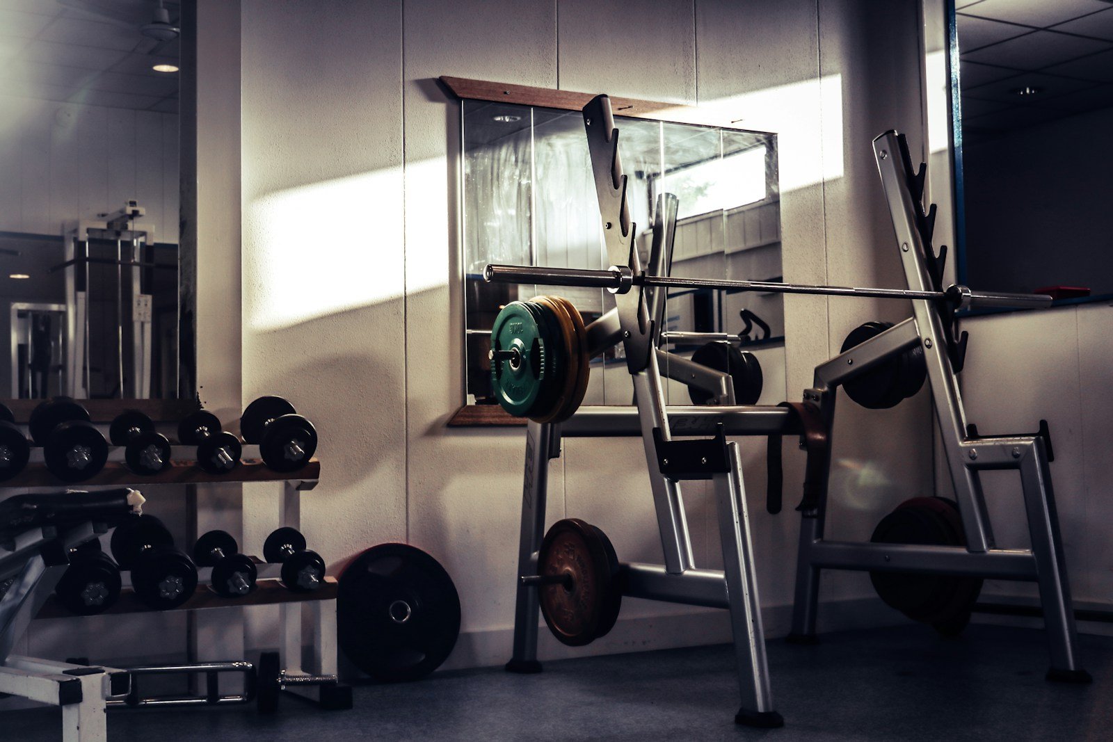 From Gym At Home: Why an AI Personal Trainer Is the Future of Fitness 16 AI Personal Trainer