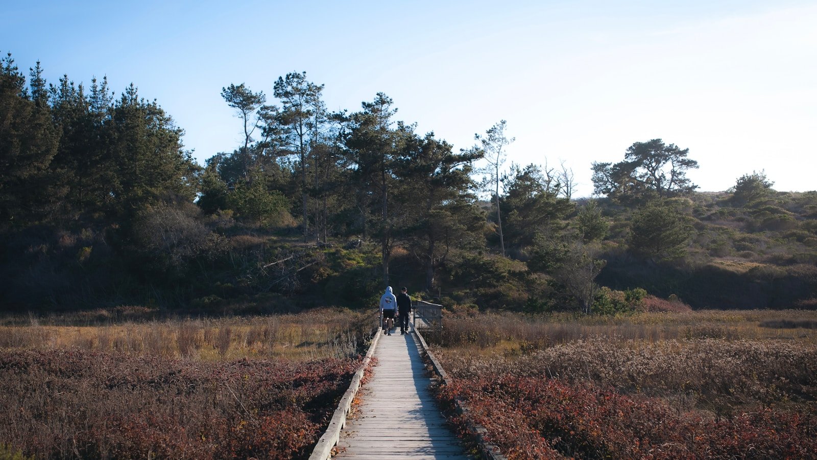 SEO for Landscapers: Backlink Strategies That Actually Work 16 two people walking across a bridge in a field