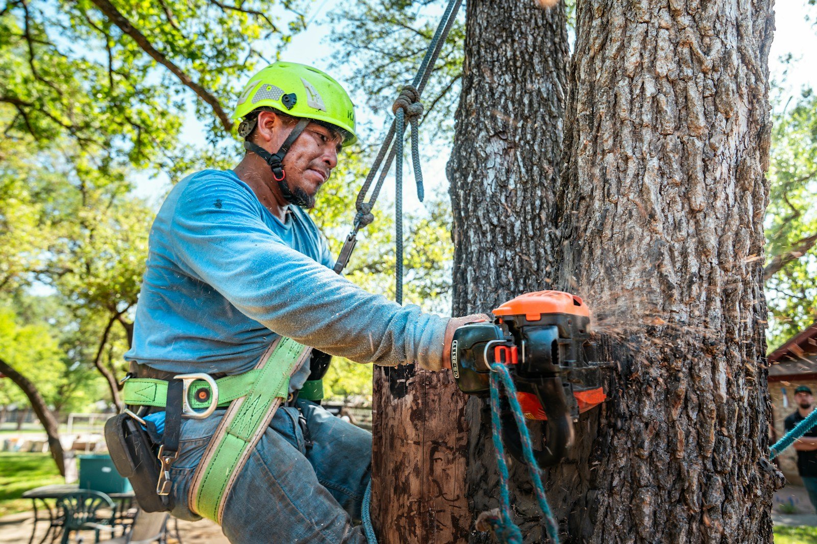 The Risks of Hiring the Wrong Tree Cutting Company 16 Arborist uses a chainsaw to cut a tree.