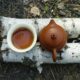 brown teapot and white mug